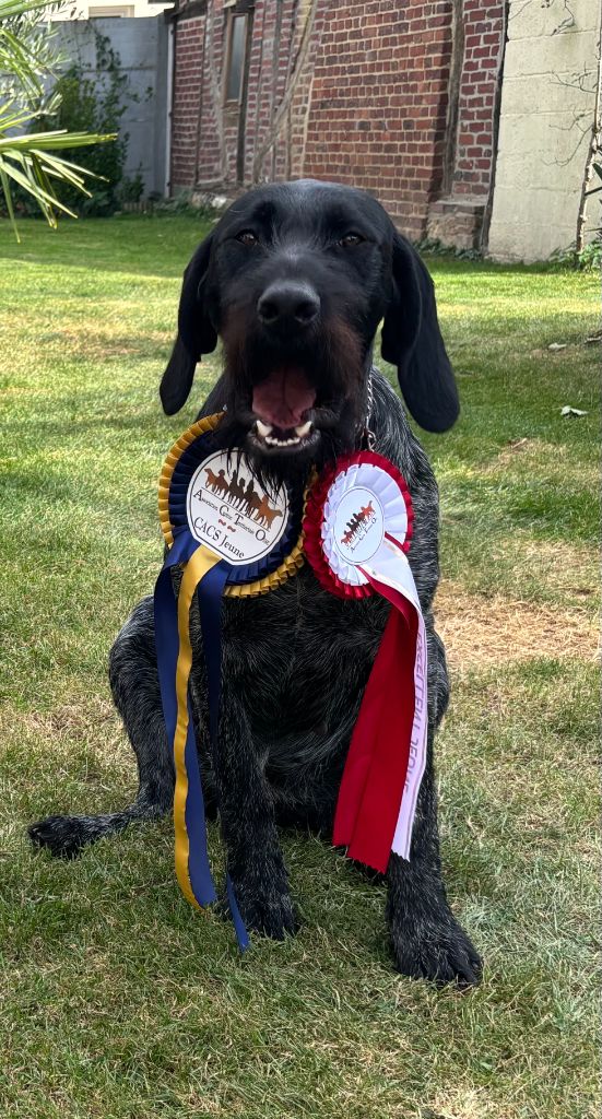 Visma Des Douves Du Chateau