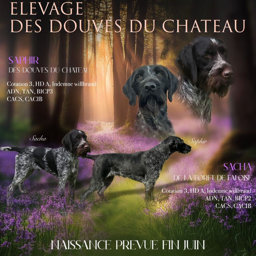 Portée à venir